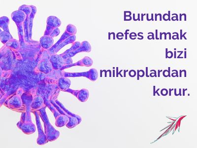 Burun nefesi mikroplardan korur