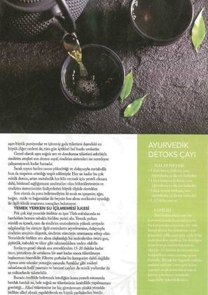 Pozitif Dergisi Ekim 2019 – Ebru Şinik makalesi 2. sayfa