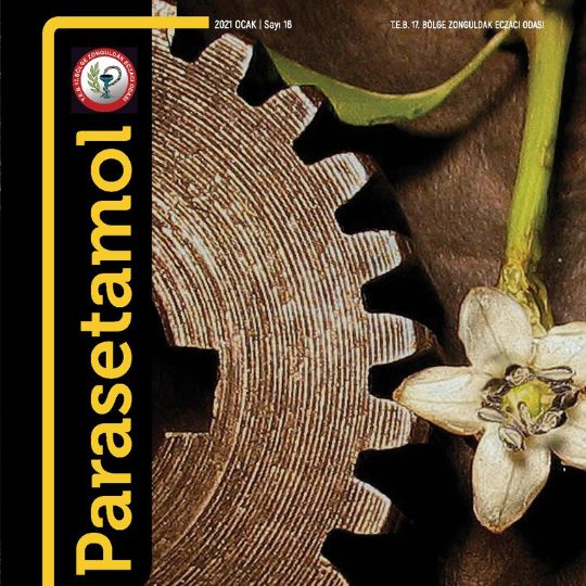 Bütünsel Sağlık ve Wellbeing | Parasetamol Dergisi 2021