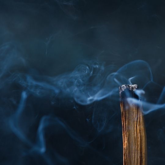 Palo Santo tütsüsü — Bursera graveolens