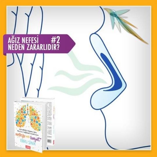 Ağız Nefesi ile İlgili Doğru Bilinen Yanlışlar