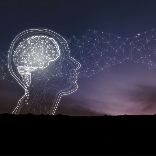 Meditasyon Yaparken Beyin Nöroplastisitesi Nedir? Yaşamımızı Nasıl Etkiler?